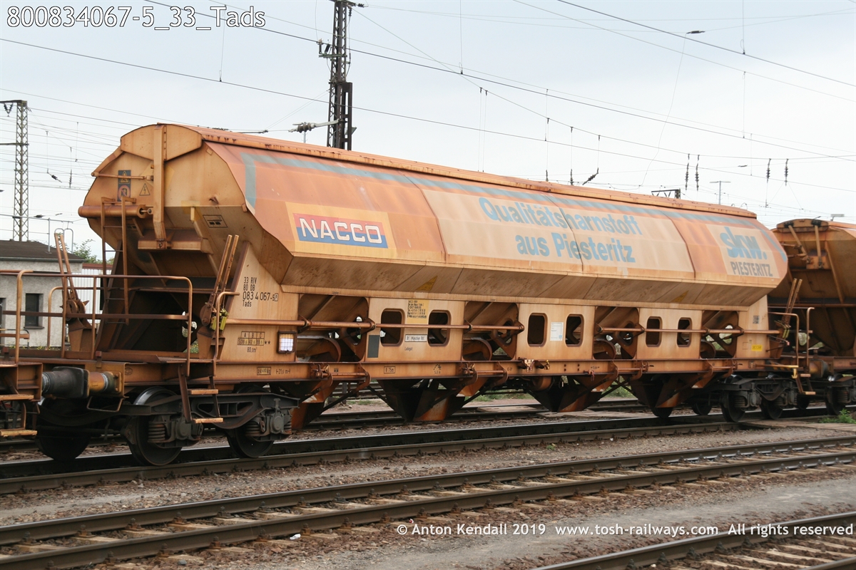800834067-5_33_Tads.JPG